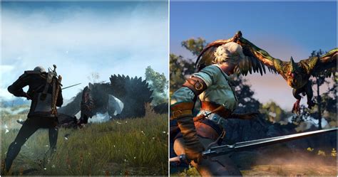 dragons in witcher 3|The Witcher 3: Every Kind of Draconid In The Game.